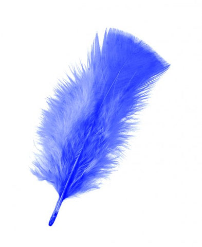 veertjes donkerblauw - 1 zakje a 10 stuks