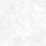 perkament papier wit - 25 vel