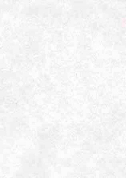 perkament papier wit - 25 vel