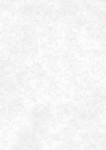 perkament papier wit - 25 vel