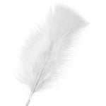 veertjes wit - 1 zakje a 10 stuks