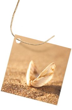 flessenhals kaartje beach