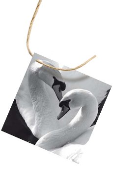 flessenhals kaartje voor altijd