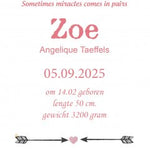 geboortekaartje trendy