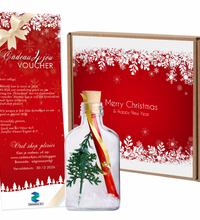 Message in a Bottle - Kerstcadeau