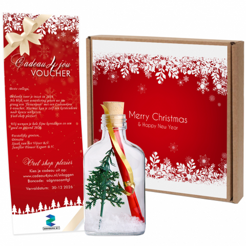 Message in a Bottle - Kerstcadeau